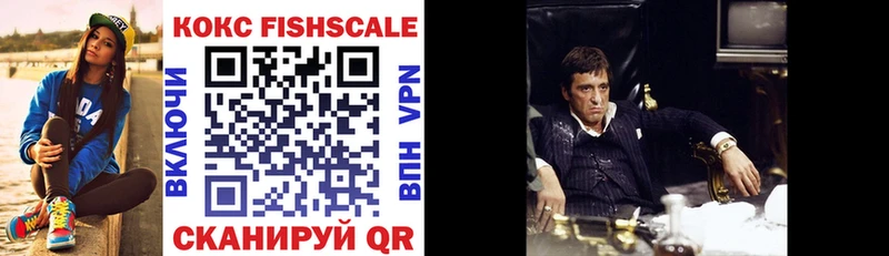 COCAIN Fish Scale Полысаево