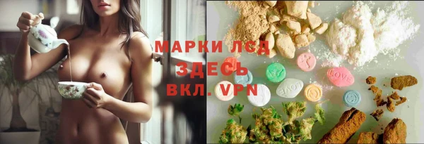 шишки Аркадак