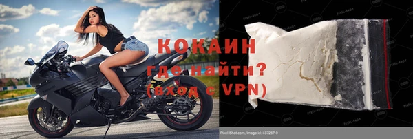 шишки Аркадак