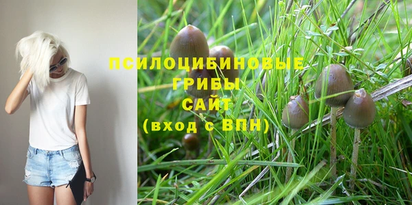 дмт Армянск