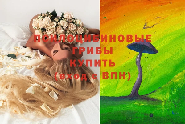 дмт Армянск