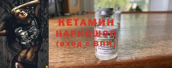 шишки Аркадак