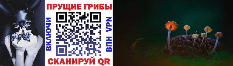 закладка  площадка официальный сайт  Псилоцибиновые грибы Psilocybine cubensis  Полысаево 